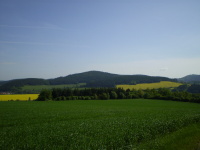 Ilustran foto